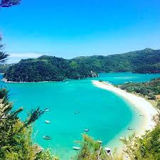 Located in abel tasman national park in the nelson/tasman region book online. Apple Tree Bay Abel Tasman National Park Picture Of Abel Tasman National Park Nelson Tasman Region Tripadvisor