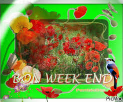 Résultat de recherche d'images pour "gif animé week end coquelicot"