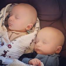 Robin Louise Schaefer