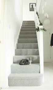 Gray Gold Slate Carpet Google Search Light Gray Carpet Grey Stair Carpet Grey Hallway