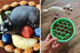 Kitchen accessories set gadgets group calming dog. 32 Amazon Pet Products We Feature Because They Work