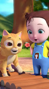 Kitty Explain Bridge