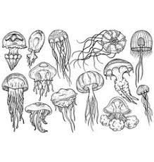 Maybe you would like to learn more about one of these? Jellyfish Realistic Vector Images 96
