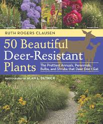 Hardy to minus 10 degrees fahrenheit, or minus 23 degrees celsius (zones 6 to 9) 50 Beautiful Deer Resistant Plants The Prettiest Annuals Perennials Bulbs And Shrubs That Deer Don T Eat Clausen Ruth Rogers Detrick Alan L 9781604691955 Amazon Com Books