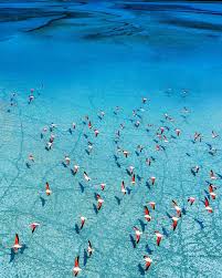 Instagram Da Murat Dagaslan Burdur Un Gizli Cenneti Dedigim Gol Yarisli Golu Flamingolar Esliginde Bizi Boyle Karsiladi Bird Photography Nature Instagram