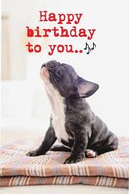 Maybe you would like to learn more about one of these? 101 Funny Happy Birthday Dog Memes For Paw Lovers Everywhere