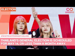 Image result for Manostachya