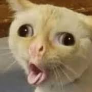Check spelling or type a new query. Download Brazilian Memes Stickers Whatsapp Wastickerapps On Pc With Memu