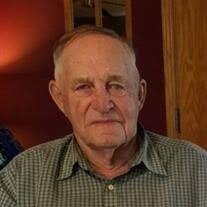 Henry "Hank" George Freesemann Obituary