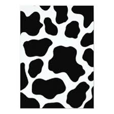 Black And White Cow Print Background Create Your Own Invitation Zazzle Com In 2020 Cow Print Wallpaper Cow Print Diy Prints