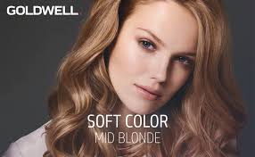 Amazon Com Goldwell 7n Soft Color 125ml Premium Beauty