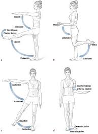 Pin On Hip Flexors