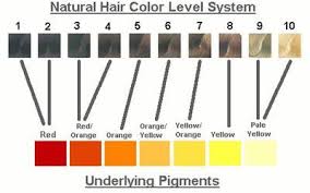 A Foolproof Guide To Choosing The Best Hair Color For Your Skin Tone Brassy Hair Hair Color Chart Hair Color