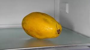 Check spelling or type a new query. 3 Simple Ways To Store Papaya Wikihow