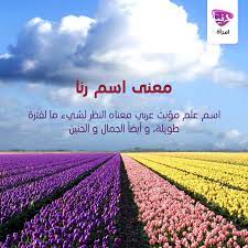 رنا معنى معاني اسم اسماء معاني اسماء معنى اسم كويت كويتيات كويتي دبي اﻻمارات السعوديه قطر دنيا امرأة K Calligraphy Name Instagram Posts Instagram
