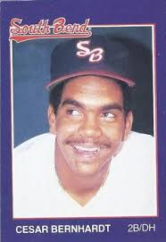 1988 Grand Slam South Bend White Sox Baseball