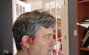 The Indefatigable Iron Rogue