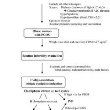 Pdf An Algorithm For Treatment Of Infertile Women With Polycystic Ovary Syndrome