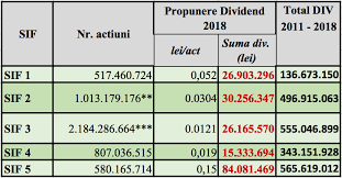 Plata dividende 2018 disponibilitate raport semestru 1 2019. Topul Dividendelor Acordate De Sif Uri In Ultimii Ani Financial Intelligence