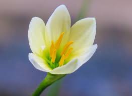 Ketika kita (nasabah) mengajukan permohonan kredit ke multifinance ataupun bank, sebaiknya nasabah perlu memahami cara perusahaan pembiayaan menghitung bunga kredit serta mengetahui. Pengertian Bunga Bagian Utama Struktur Jenis Proses Produksi