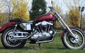 Image result for Wineberry Pearl 1991 Motorcycle