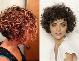 Short Curly Hairstyles 2018 54 Curly Bob Hairstyles Bob Haircut Curly Short Curly Bob Hairstyles