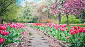 House & garden is one of britain's defin. Online Garden Design Courses Diy Your Home Landscape Pretty Purple Door