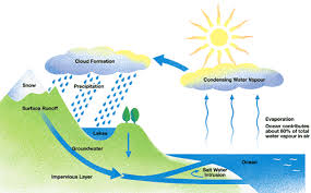 Answer Water Cycle Ielts Academic Writing Task 1