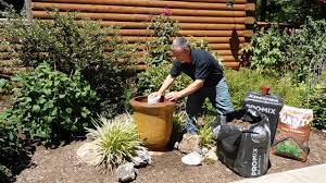 So, you wanna learn how to grow some cannabis? How To Properly Fill A Large Plant Pot Youtube
