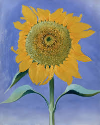 The Sunflower Was A Rare Subject For O Keeffe And She Painted Them On Only Three Occasions Unlike Most Of O Keeffe S C In 2020 Georgia O Keeffe Mexico Art Art Prints