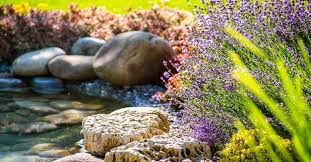 Landscape designers and architects design and plan functional landscapes, residential areas, and gardens to give you an idea of the placement of trees, shrubs, and perennials. V9wlwutc52uqm