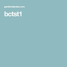 Bctst1 Boxcar Children Kids Sleep How Many Kids