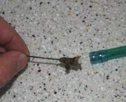 However, you don't always have to throw your bag out when you discover it has mold. Cleaning Your Hydration Pack
