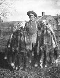Trapper talk ask questions, meet friends, enjoy an enviroment dedicated to trapper discussions and what interest us as a group. Trapper Wikipedia