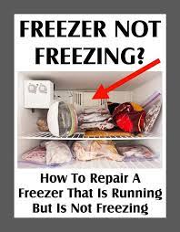We did not find results for: Freezer Not Freezing Not Cold Enough