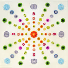 Artist Spotlight Series William Loveless The English Room Artist Lovers Art Petri Dishes