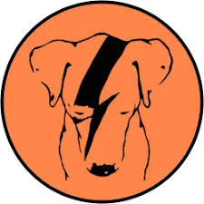 Lazarus Syndrome Releases | Sullivan's Records