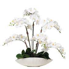 Large Tea Leaf Bowl Faux Flower Arrangements Orchid Flower Arrangements Fresh Flowers Arrangements