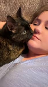 My heart is completely shattered. Reeces you were such a beautiful sweet  kitty who was so full of life and cuddles. I can't believe that out of 18  years, over ten were