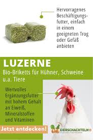 Bio Luzerne Briketts Fur Huhner Schweine Und Andere Tiere In 2021 Huhner Futter Huhner Huhnerfutter