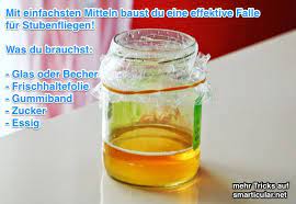 So Wirst Du Fruchtfliegen Los Fruchtfliegenfalle Selber Bauen Mit Essig Fliegenfalle Hausmittel Fruchtfliegenfalle Fliegenfalle Selber Bauen