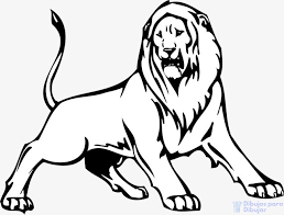 We did not find results for: Dibujos De Leones 75 Facil Tutorial