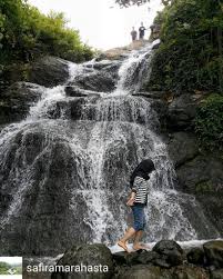 7 Wisata Alam Di Jember Yang Mempesona Pariwisataku
