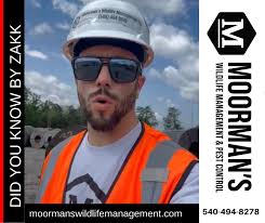 From raccoons sneaking into construction sites 🦝 to squirrels