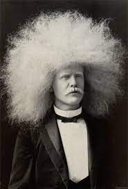 Pin By Alison Bowman On Bizarre Epic Hair Sideshow Freaks Afro Hairstyles Men