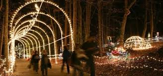 8 Roper Mountain Holiday Lights Greenville Through Dec 30 2016 Best Christmas Lights Best Christmas Light Displays Christmas Light Displays
