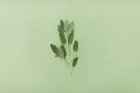 23 Healthy Family Dinner (and Drink) Recipes Using Sage