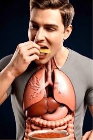 The Aftermath of Eating Junk