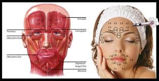 Lori Roby Beauseau (loriroby17)