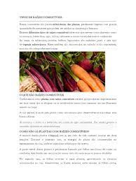 Tipos De Raizes Comestiveis Pdf Raiz Vitamina